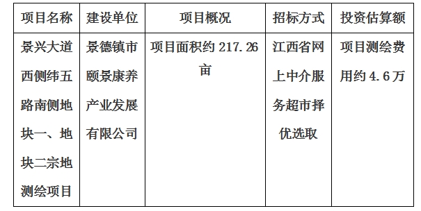 景興大道西側(cè)緯五路南側(cè)地塊一、地塊二宗地