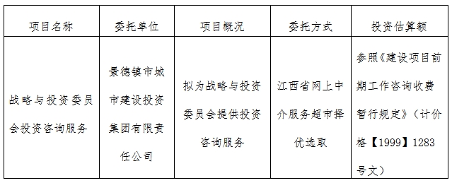 戰(zhàn)略與投資委員會投資咨詢服務(wù)計(jì)劃公告　　