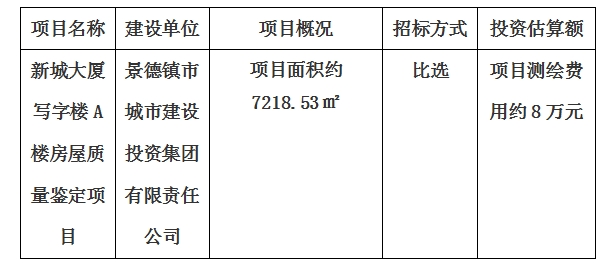 新城大廈寫字樓A樓房屋質(zhì)量鑒定項目計劃公告