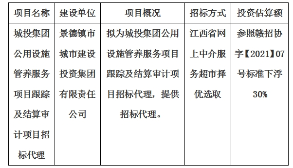 城投集團(tuán)公用設(shè)施管養(yǎng)服務(wù)項(xiàng)目跟蹤及結(jié)算審計項(xiàng)目招標(biāo)代理計劃公告